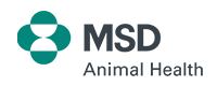 msd_logo msd_logo